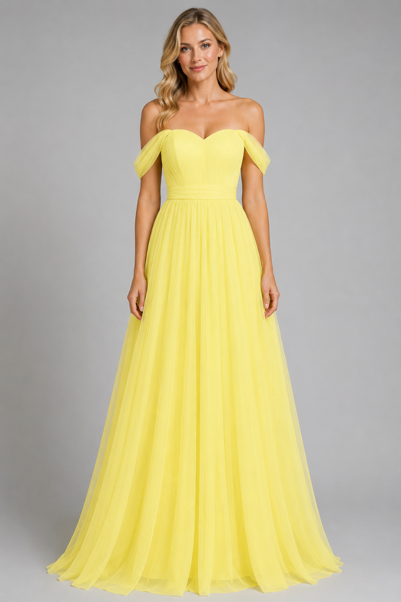 Babaroni Gustave Women's Elegant Maxi Dress