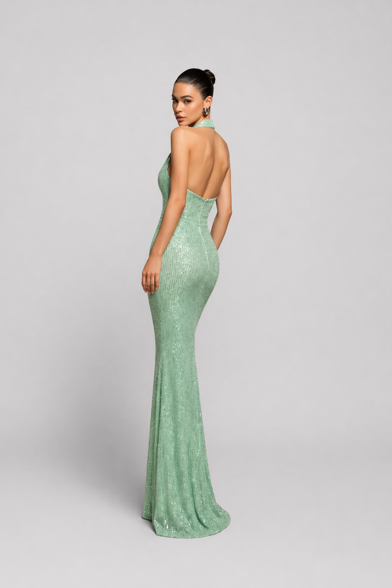 Women's Halter Neck Maxi Dress - Deep Plunge Evening Party Dress